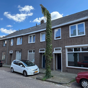 Foto Handleiding wingerds planten